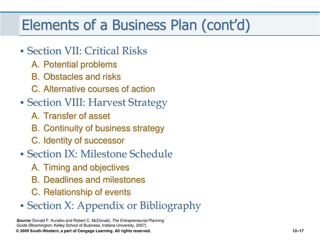 potential problems in business plan
